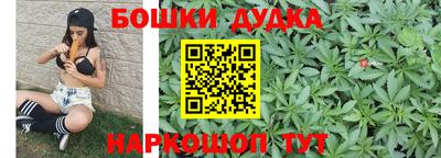 индика Бузулук