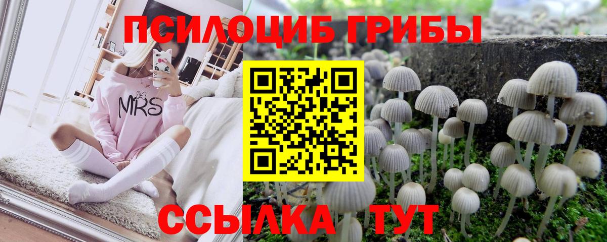 Галлюциногенные грибы прущие грибы Конаково