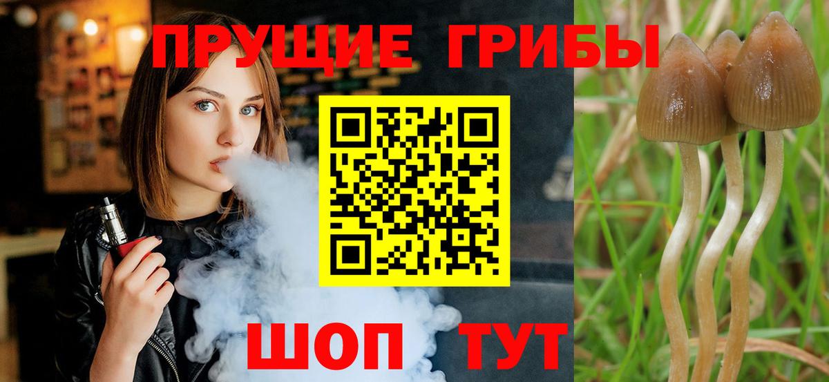 Галлюциногенные грибы MAGIC MUSHROOMS  Вход с VPN  Конаково 